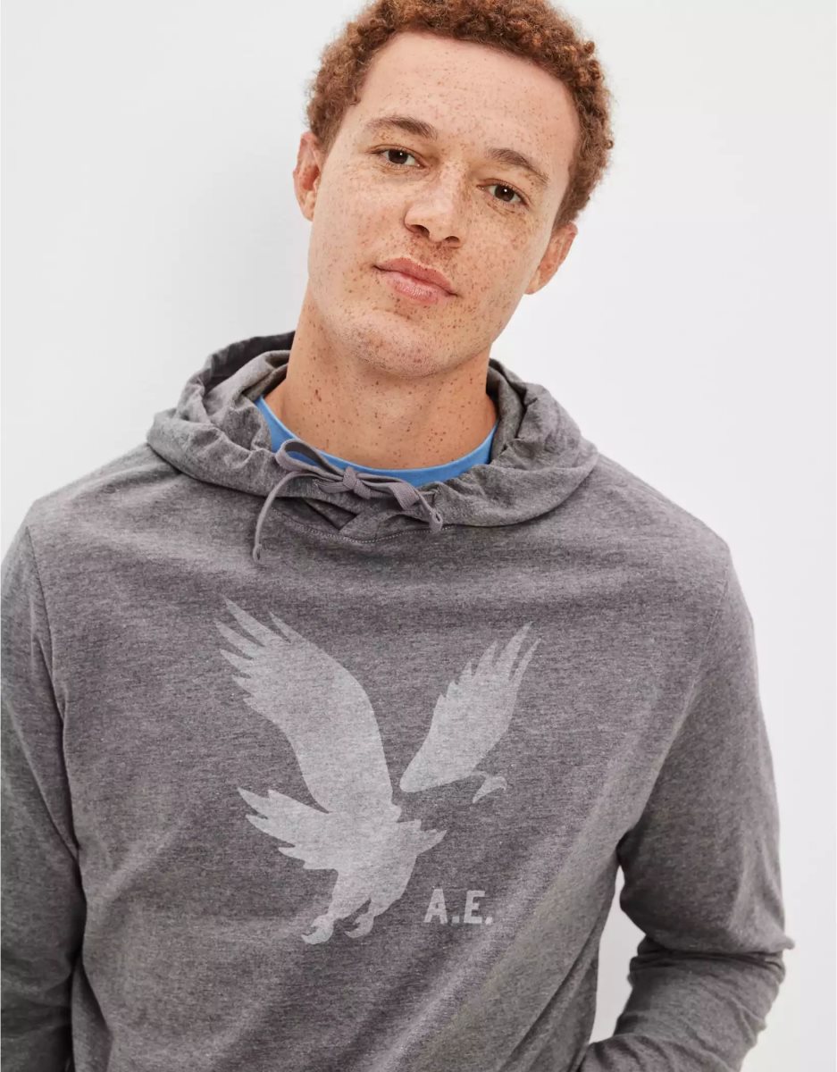 Sweat à Capuche American Eagle AE Super Soft Logo Graphique Grise Homme | UKJ-19418835